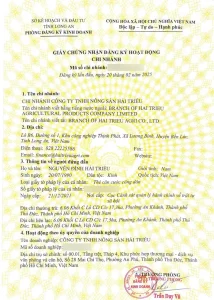 3. HT. GPKD CHI NHANH - CONG TY TNHH NONG SAN HAI TRIEU copy